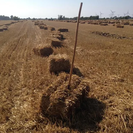 Appartement 2 Fehmarn